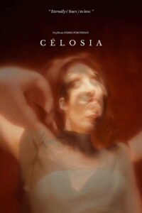 Célosia 2026