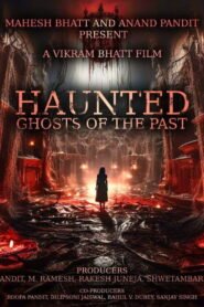 Haunted 3D: Echoes of the Past 2026