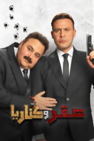 صقر وكناريا 2026