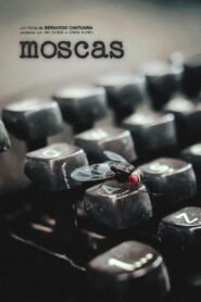 Moscas 2026