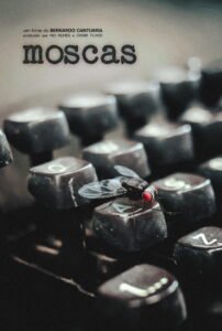 Moscas 2026