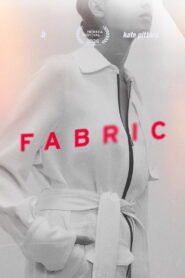 Fabric 2026