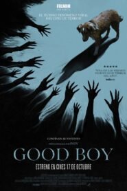 Good Boy 2025