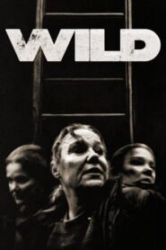 Wild 2026