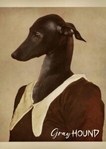 Gray Hound 2026