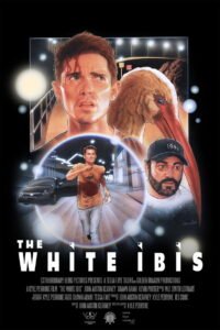 The White Ibis 2026