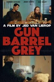 Gun Barrel Grey 2026
