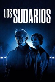 Los sudarios 2025