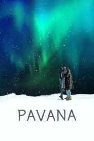 Pavana 2026