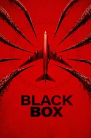 Black Box: Vuelo 298 2026