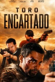 Toro Encartado 2026