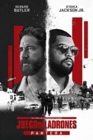 Juego de ladrones 2: Pantera 2025