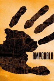 AMYGDALA 2026