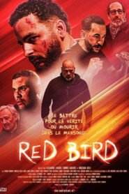 Red Bird 2026