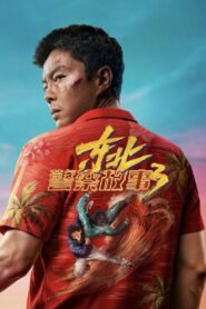Northeast Police Story 3 2026