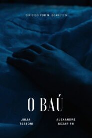 O Baú 2025
