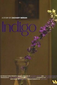 INDIGO 2026