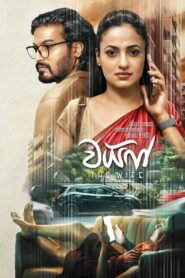 වයිෆ් 2026
