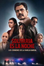 Solitaria es la noche: Los crímenes de la familia Bansal 2025