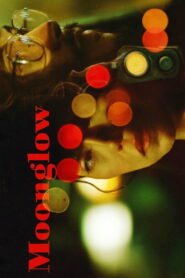 Moonglow 2026