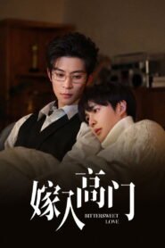 Marry into a high family Temporada 1 Online Gratis en Español