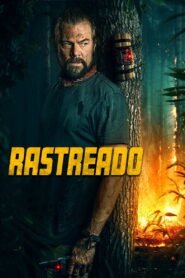 Rastreado 2025