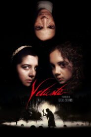 Vetusta 2026