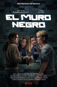 El muro negro 2025