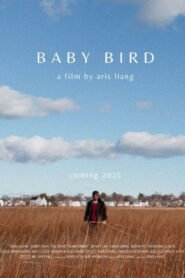 Baby Bird 2026