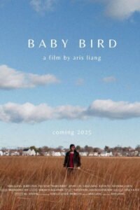 Baby Bird 2026