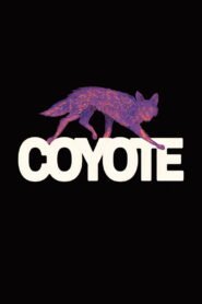 COYOTE 2026