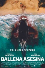 Killer Whale 2026