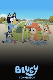 Bluey Compilados 2026