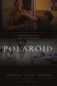 polaroid 2026